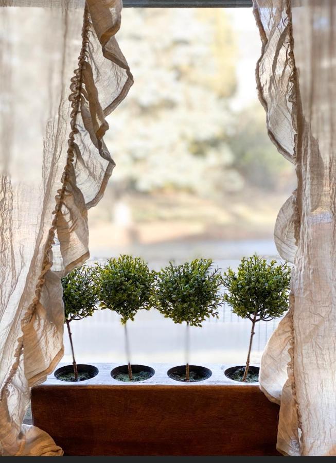 Vida Boutique Inn ウースター エクステリア 写真